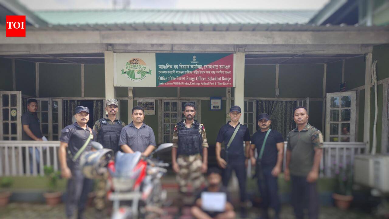 Man held in Kaziranga with smuggled Tokay Gecko
