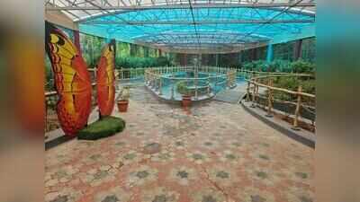 Renovated butterfly park reopens at Vandalur zoo, offering visitors a closer look at winged life