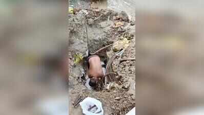 Contractor damages pipeline, residents without water for 24 hours
