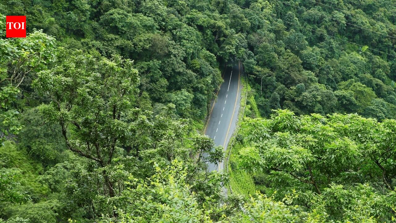 What's it like to go on a road trip through India’s ghats?