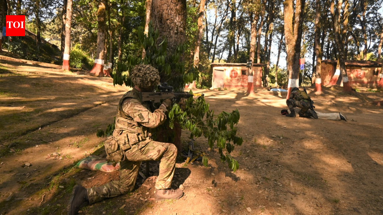 Joint R&D, military engagement & Indo-Pacific security: India, UK deepen defence partnership – The Times of India
