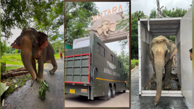 Flood-rescued elephant Joymoti airlifted and shifted to Anant Amabani’s Vantara for specialised care
