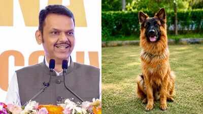Maharashtra to retain retired police dogs with handlers, bear lifetime care costs