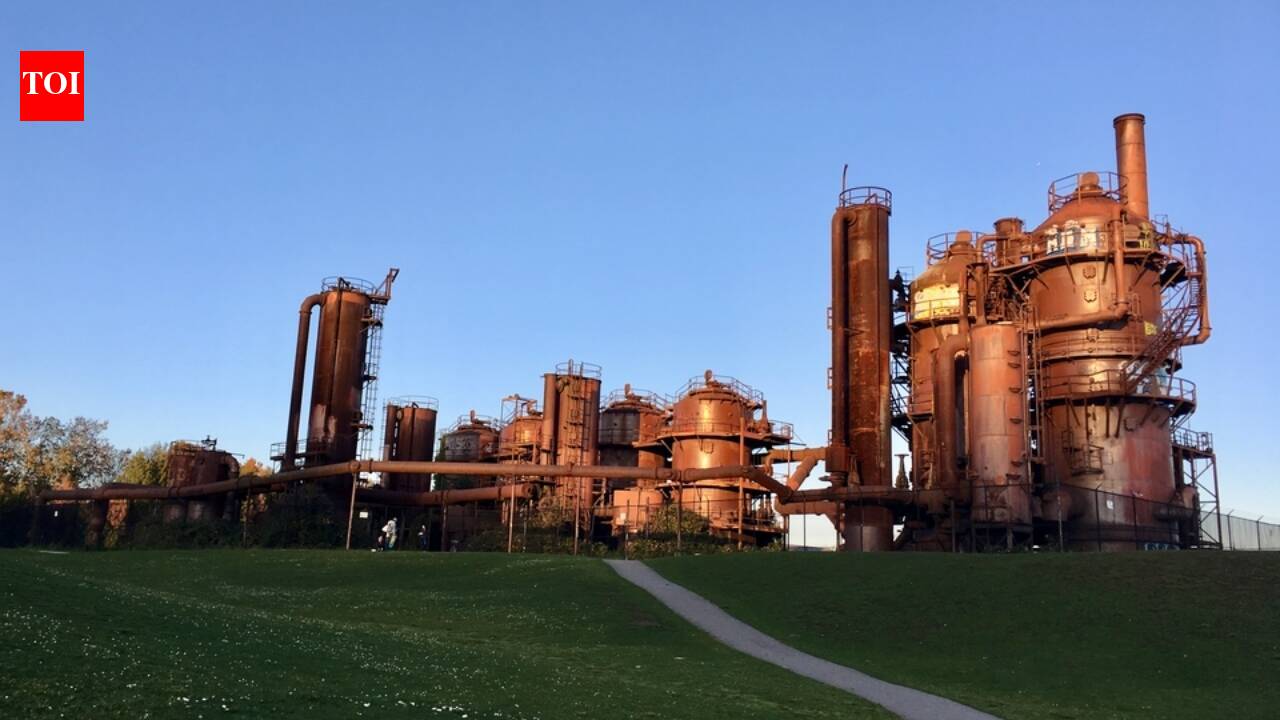 From toxic waste to a 'sanctuary': How nature reclaimed the ruins of Seattle’s old gas plant.