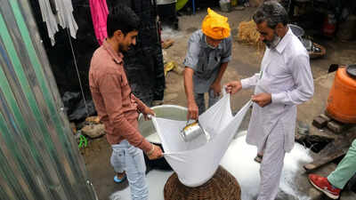 Karnataka bans sale and manufacture of analogue, non-dairy paneer sold as ‘paneer’ for 1 year