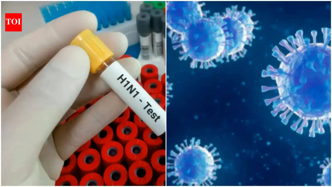 H1N1 alert: Health ministry lists symptoms to look for as Delhi crosses 1,700 cases