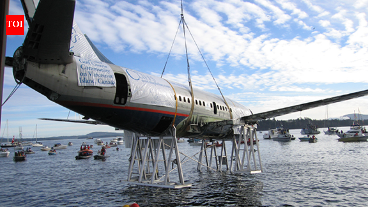 Canada lowered a retired Boeing 737 onto the seabed off Vancouver Island; now it serves as an artificial reef for marine life