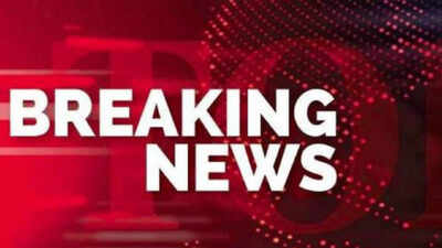 Panama-flagged cargo ship carrying 24 on board sinks off Odisha coast