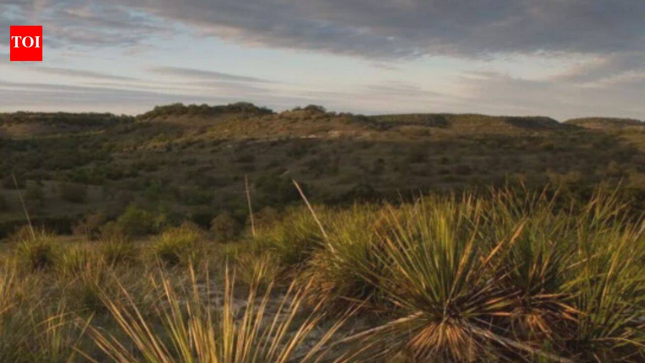 Chicken chain co-founder restores 3,000-acre Texas ranch, revives lost springs