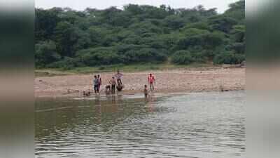 Two youngsters drown during Dashama idol immersion in Mehsana
