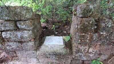 Sacred forest remnants in Virdi recall exodus of villagers and deities