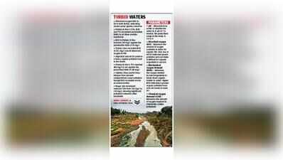 CPCC flags severe pollution in Patiala Ki Rao, Faidan Choe