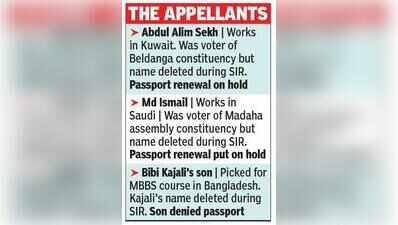 SIR-hit MBBS aspirant, West Asia workers in HC over passport block