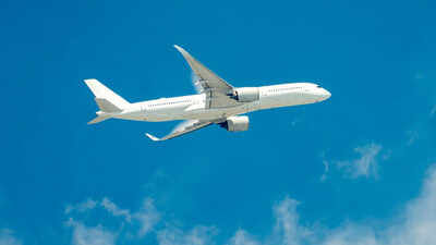 Soon, no need for physical boarding cards at immigration