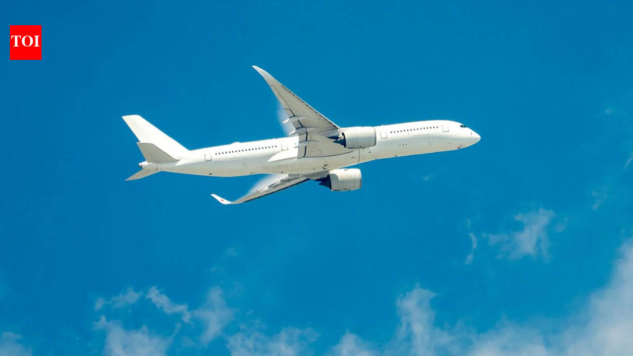 Soon, no need for physical boarding cards at immigration | India News  timesofindia.indiatimes.com