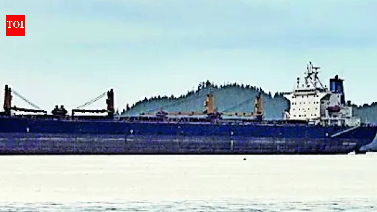 Foreign ship sinks near Paradip, crew in lifeboats