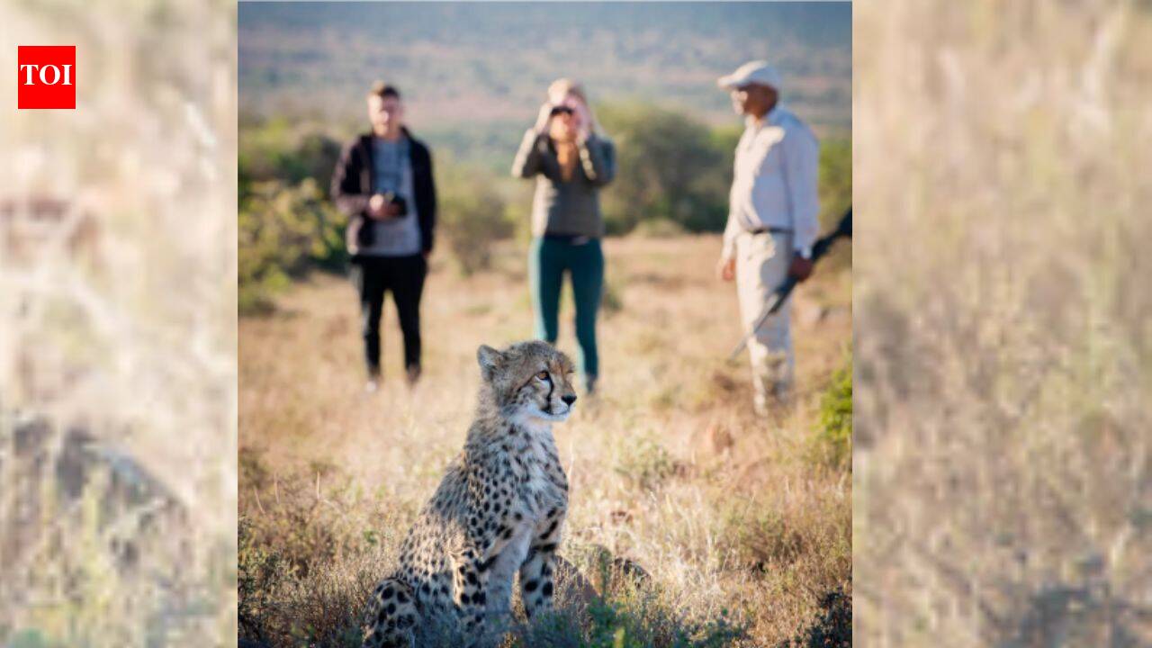 A family bought 11 farms and turned them into a big five wildlife haven