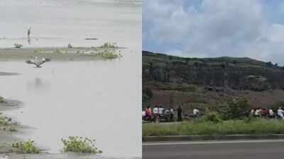 After Maharashtra hill tragedy, Delhi man jumps into Yamuna over iPhone EMI stress; rescued