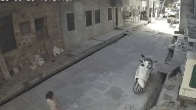 Watch: 5-year-old girl mauled by stray dog, dragged across street; CCTV captures horror
