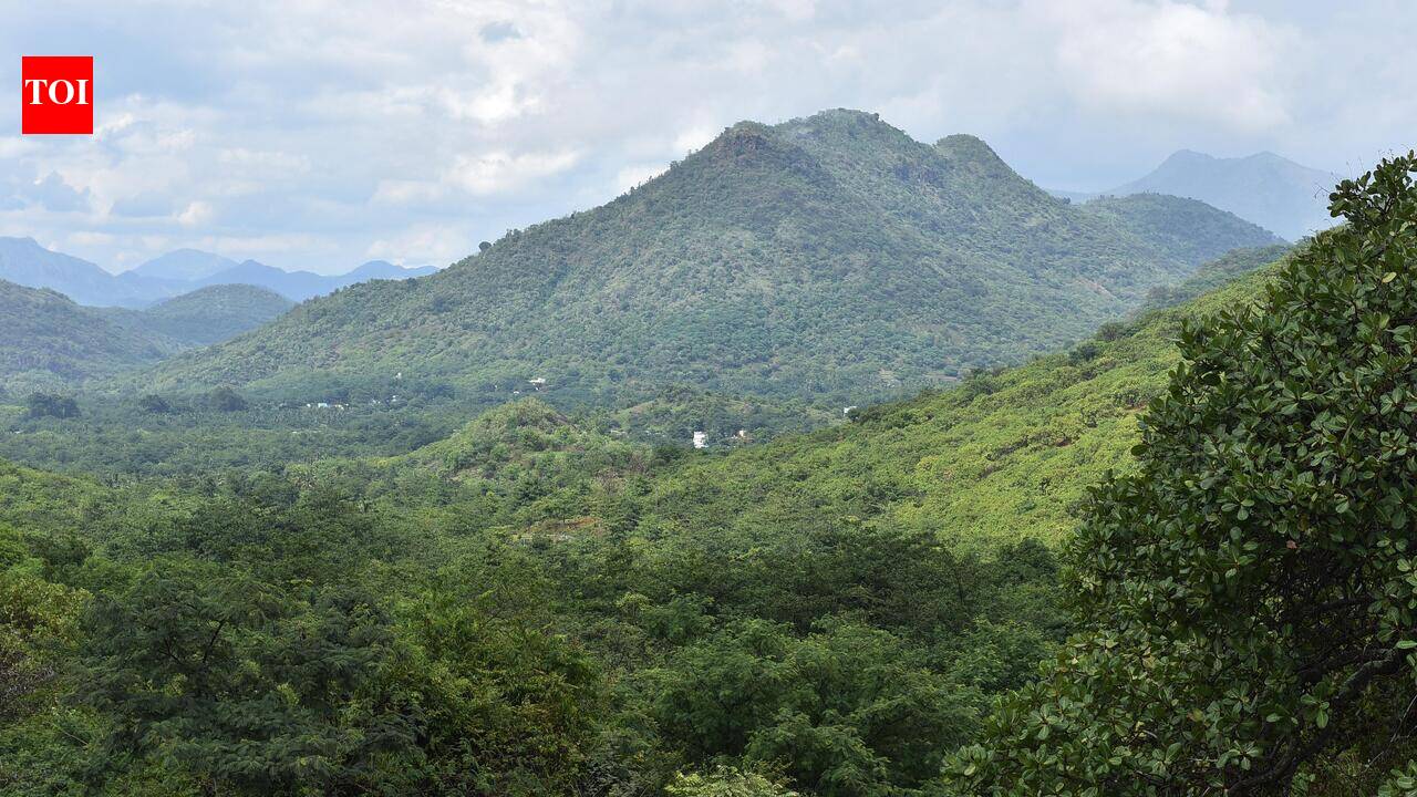 118 govt staff face eviction from Megamalai Tiger Reserve