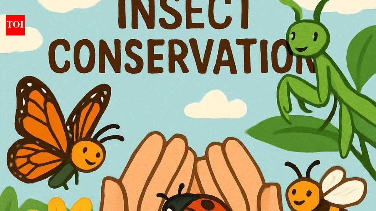 Experts call for greater focus on insect conservation