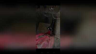 Cow falls into chamber in Bengaluru, rescued