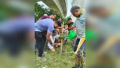 Forum plants 5,000 trees in New Town over 5 years