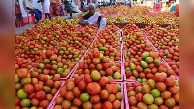 Farmers fret over future as tomato prices tumble to ₹4/kg due to glut