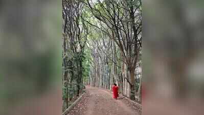 Bengaluru’s green activists mobilise against Karnataka govt’s move to divert park land