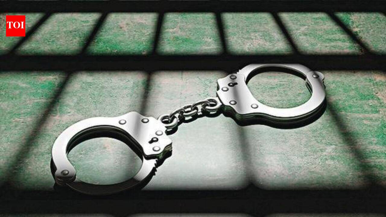 Two held for threatening traffic cops over dumper’s no-entry violation ...