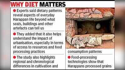 Ahmedabad: Tooth analysis reveals shift in Harappan food practices