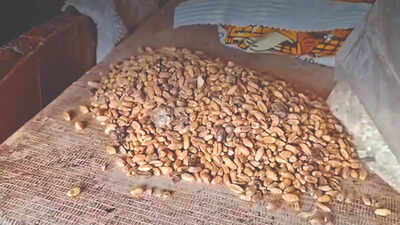 Wash rice twice, not 7 times: Drought-hit England targets faith, cultural habits