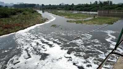 Who failed to check Hindon pollution? NGT seeks names