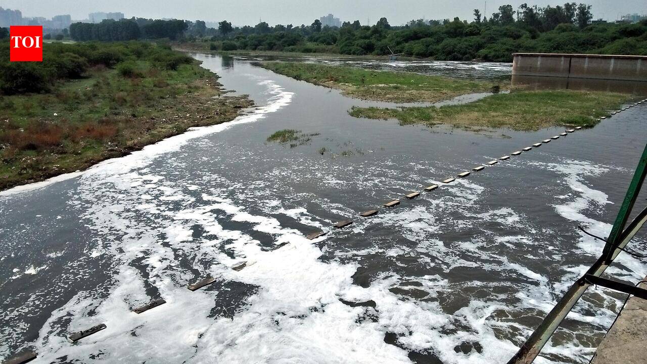 Who failed to check Hindon pollution? NGT seeks names