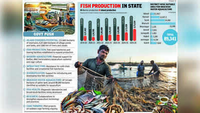 Times Dhandho: Inland fisheries reel in big gains for Gujarat