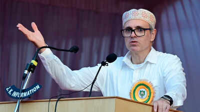 J&K govt warns against buying shock-emitting ‘dog sticks’, cites arms law