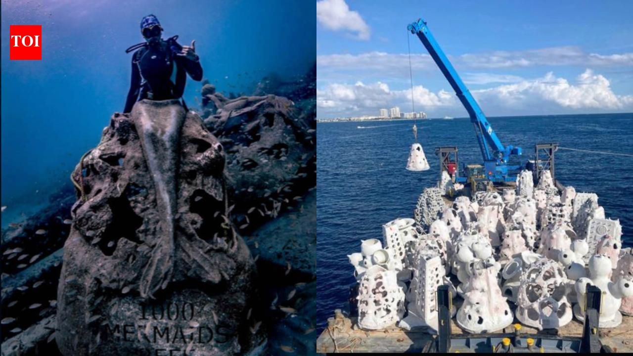 In 2019, Florida began sinking mermaid-shaped reef sculptures; the project now has more than...
