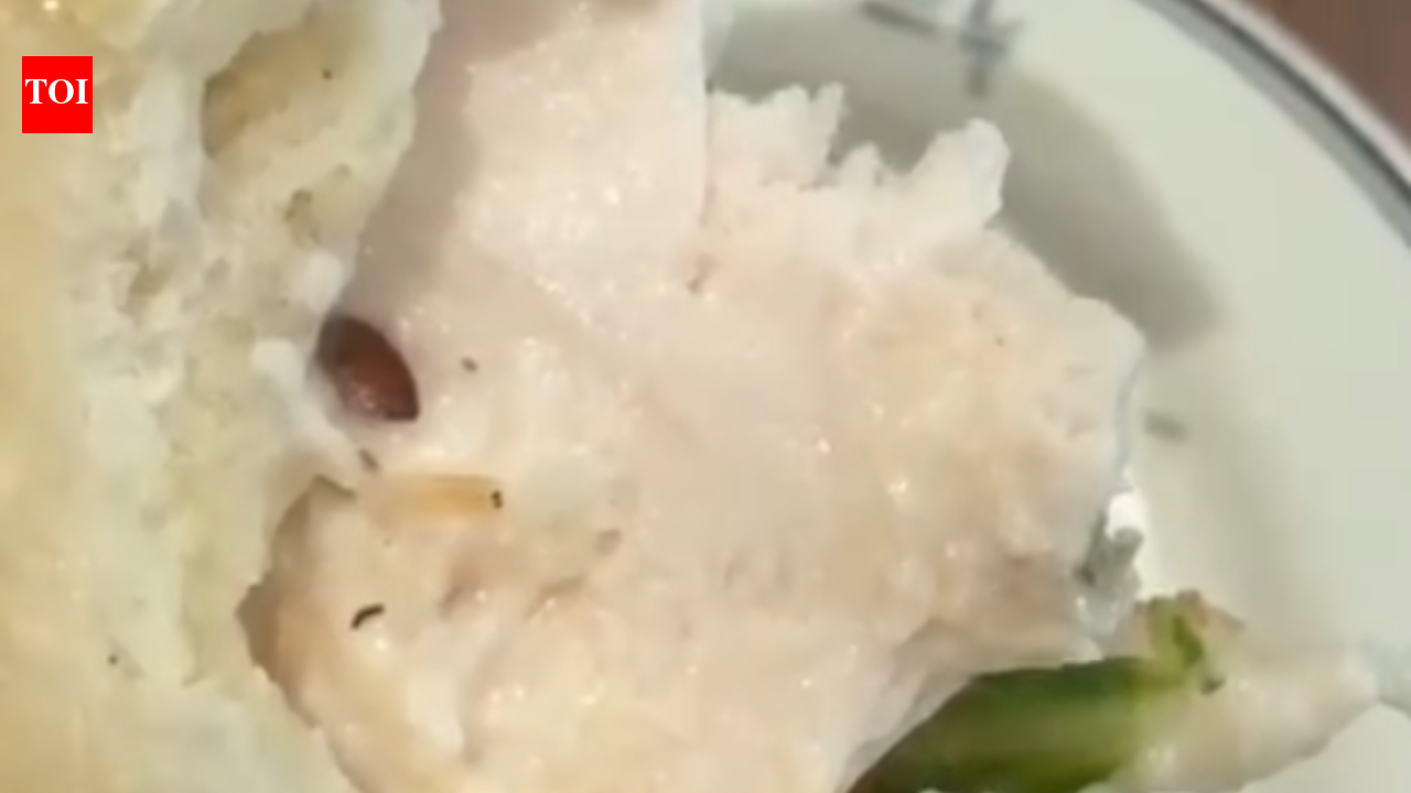 Customer finds live worm in food at Gurgaon restaurant - video