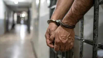 Delhi will shift 'dangerous' inmates to jails in other states, to bring in new law