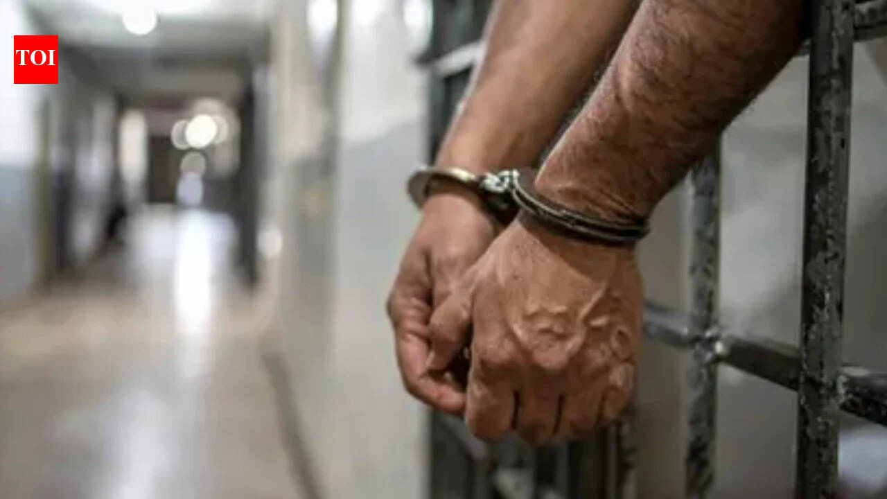 Delhi will shift 'dangerous' inmates to jails in other states, to bring in new law