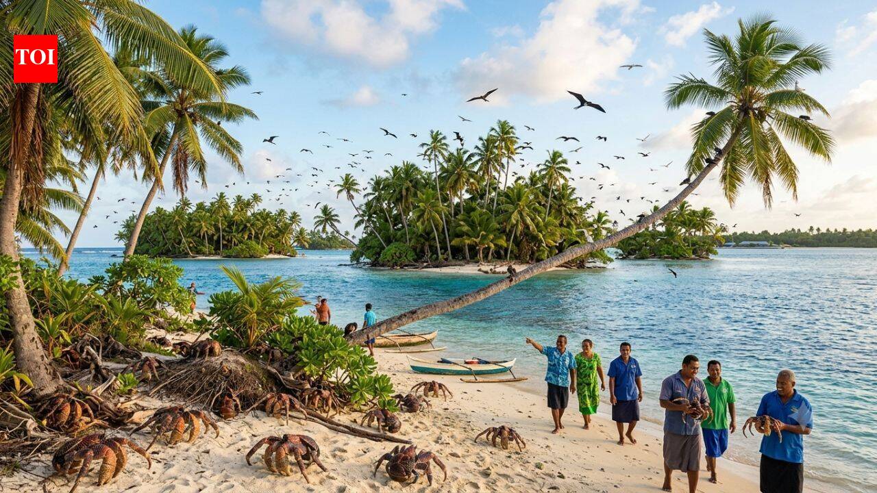 Tuvalu’s rat removal is bringing birds and coconut crabs back to six islets