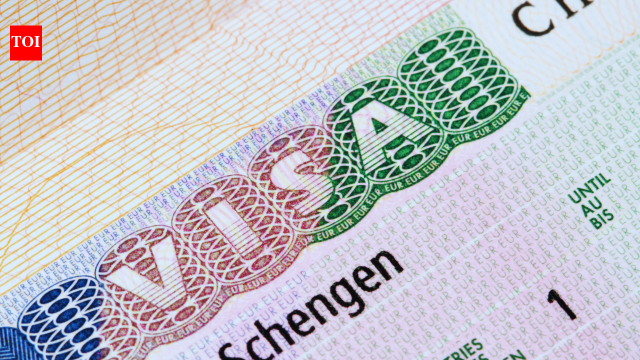 Pay €25,000 for Schengen visa: Indian company BLS under probe after Spain's Algerian migration crisis