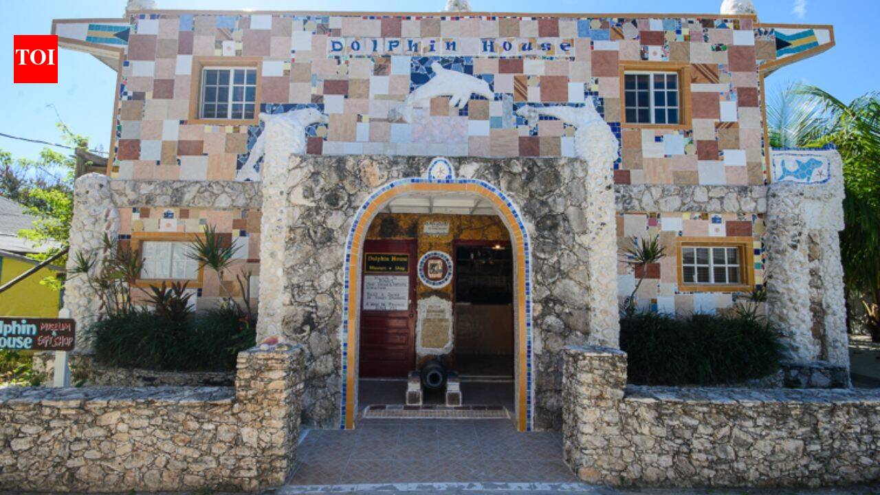 In 1993, a Bahamas artist turned his home into a giant dolphin-themed museum