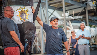 Massachusetts fishing crew lands 1,260 pound blue marlin, narrowly missing world record