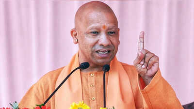 3S Model: Yogi’s idea of growth