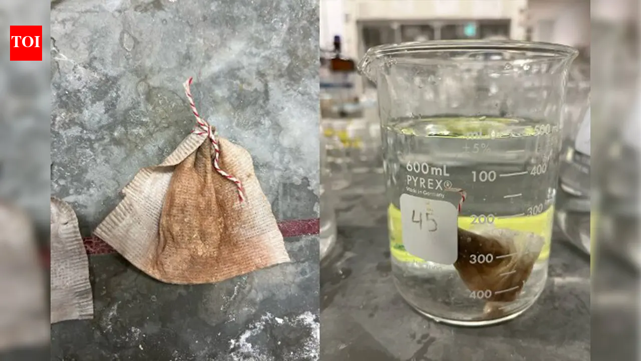 Meet Vick Tan: The Minnesota student who turned a teabag into a low-cost arsenic filter