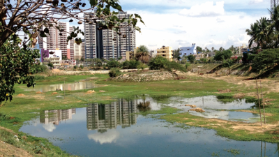 Bengaluru's lakes are getting cleaner, but there is a catch, new study reveals what happens to the sewage after it is diverted