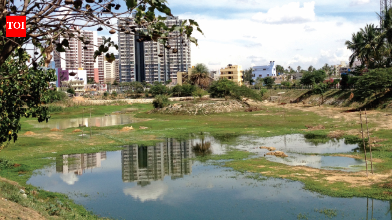 Bengaluru's lakes are getting cleaner, but there is a catch, new study reveals what happens to the sewage after it is diverted