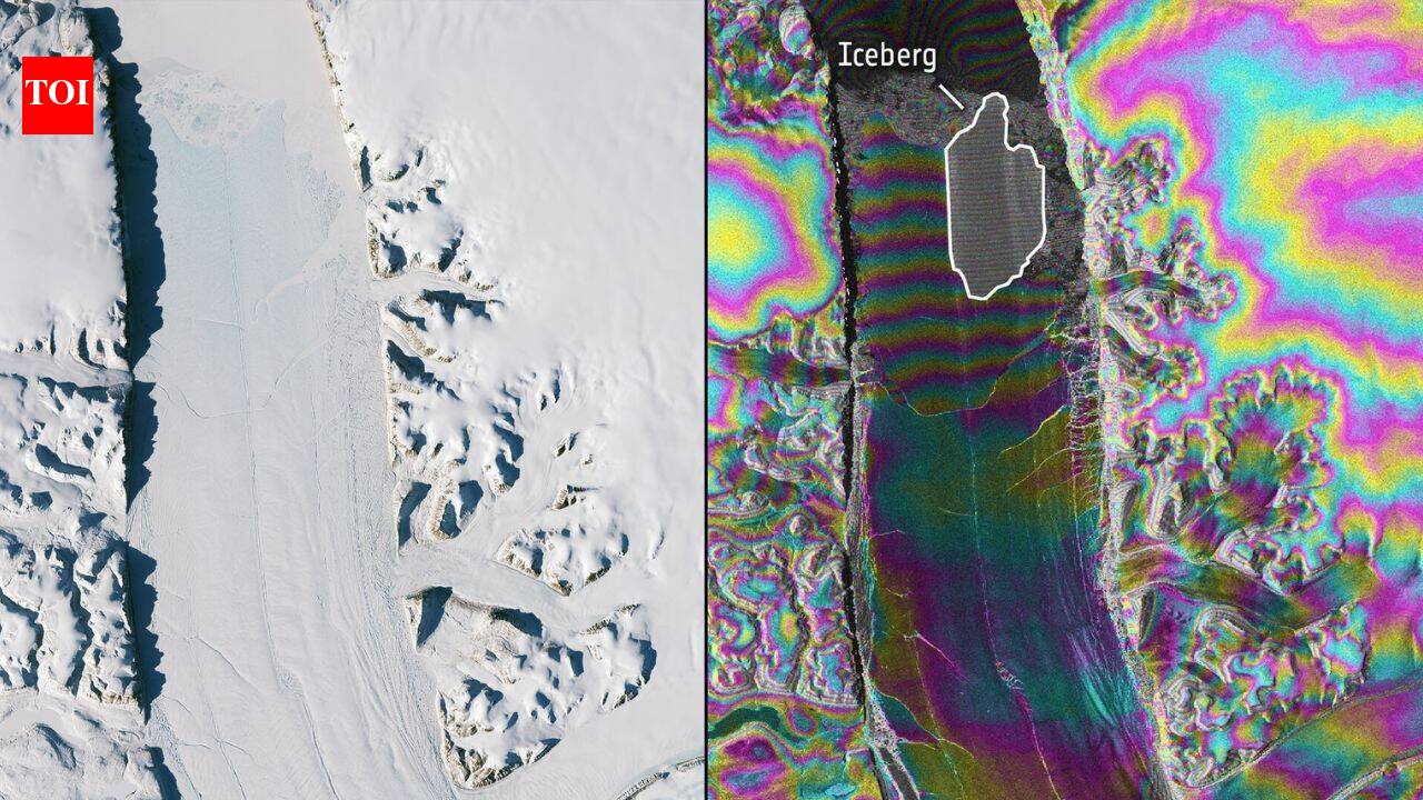 Photo: timesofindia.indiatimes.com Manhattan-Sized Iceberg Breaks Off Greenland's Petermann Glacier