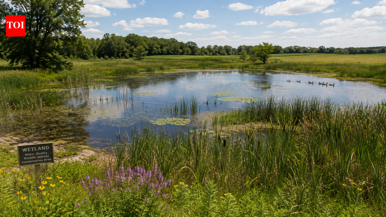 In 2006, Steve and Dianne White bought 86 acres in Fulton County, Illinois; 16 years later, it held wetlands, prairie and sightings of 71 bird species